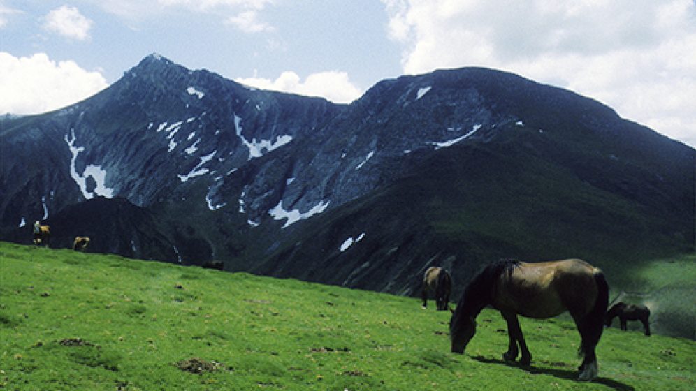 pico de orhi  a los pies la selva de irati.